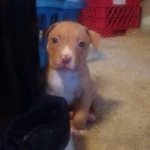 Meet your Posher, Nathan